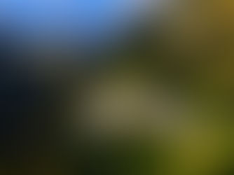 Is Helicopter Vaishno Devi Booking Worth the Cost During the Chaitra Navratri 2026 Rush at Vaishno Devi