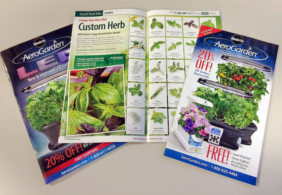 Photo-Jan-07,-5-48-26-PM