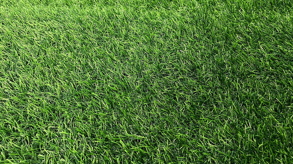 Miniatura: PASTO SINTÉTICO SPRING