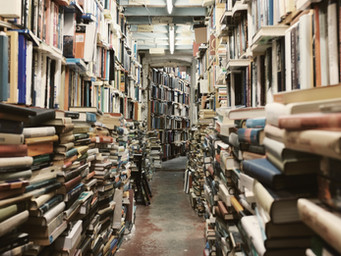 NINGUÉM SE LIVRA DOS LIVROS: UMA ENTREVISTA COM ALEJANDRO DUJOVNE