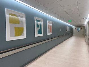 Art for Center for Advanced Medicine and Surgery Department, Whiteplains, NY