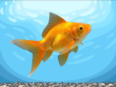 A Commercial You Won’t Believe is Real (But Absolutely Is)