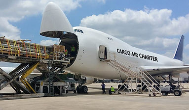 Another year of strong flight for cargo charters?