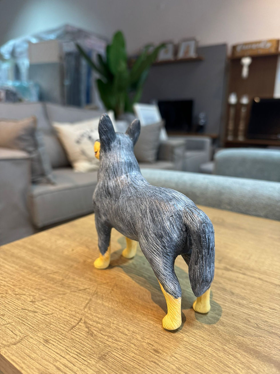 Miniatura: Perro Australian Cattle Dog