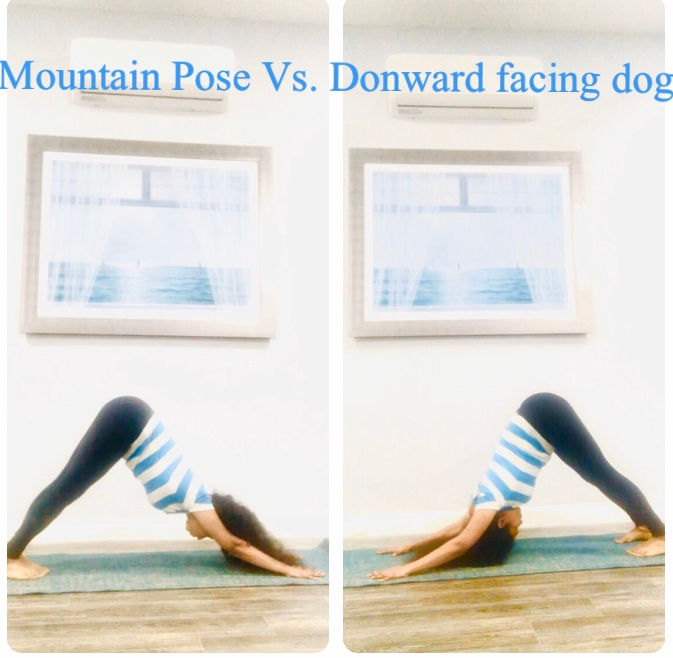 Mountain Pose vs. Downward facing dog Pose