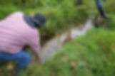 DSC00831.jpeg