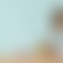 A Beginner's Guide to Making Cakes | Easy Recipe with Tips and Equipment Recommendations