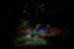 29F16607-A289-4475-8B14-B72974DEB7F8_1_105_c.jpeg