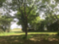 303_2019 05 27 -2-.JPEG