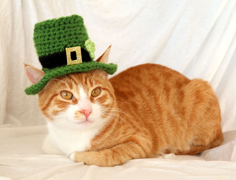 Leprechaun Hat for Cats