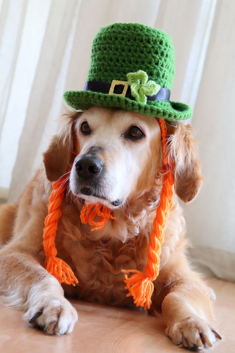 Thumbnail: Girl Dog Leprechaun Hat with Braids