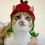 Thumbnail: Apple Hats for Cats
