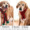 Thumbnail: Dog Scarf Crochet Pattern