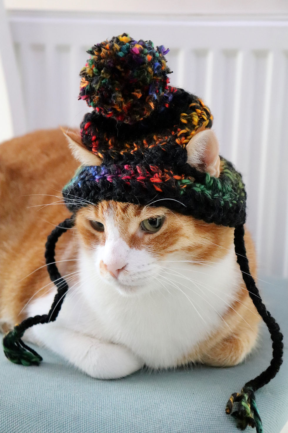 Custom color striped cat hat