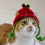 Thumbnail: Apple Hats for Cats
