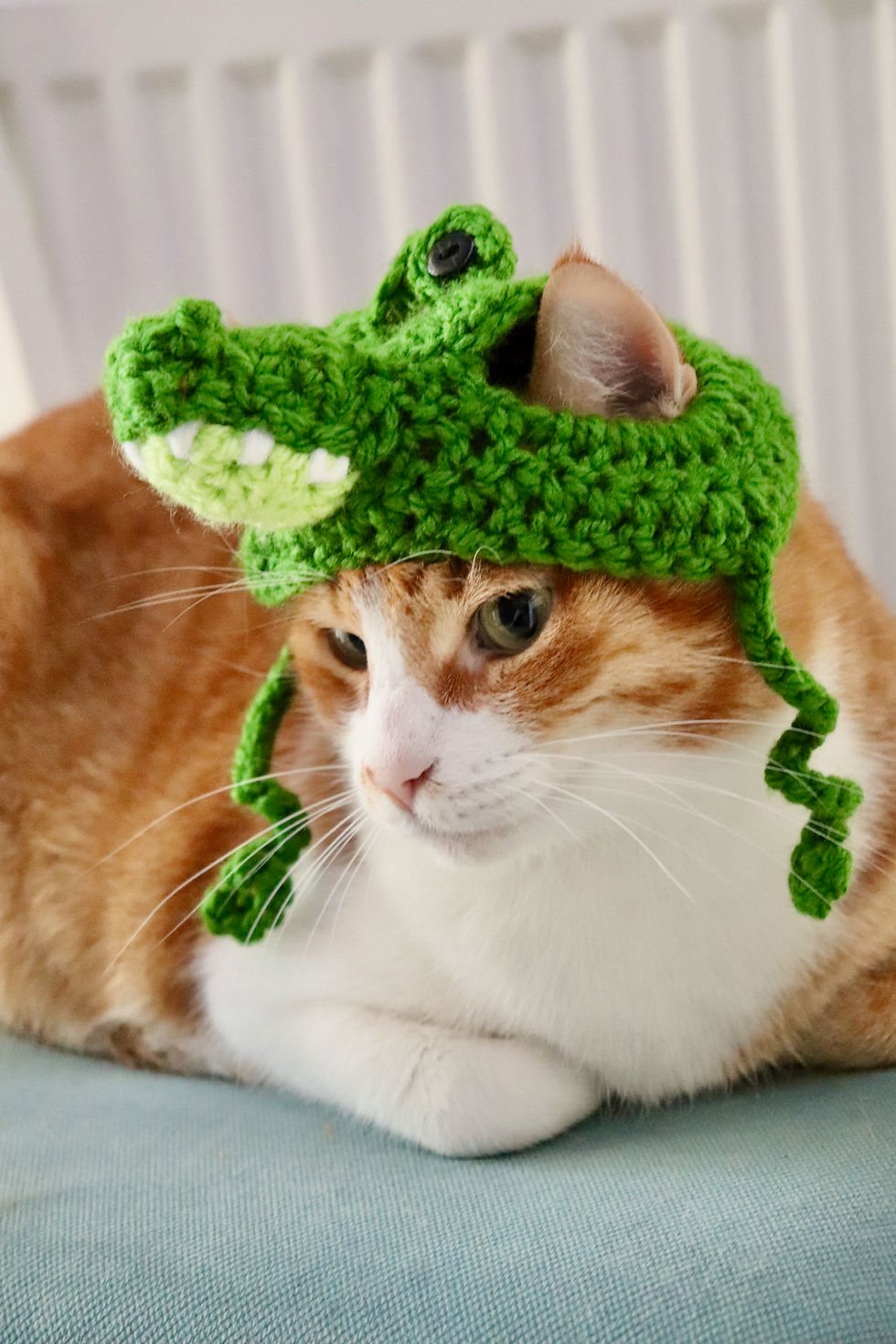 Alligator Cat Hat