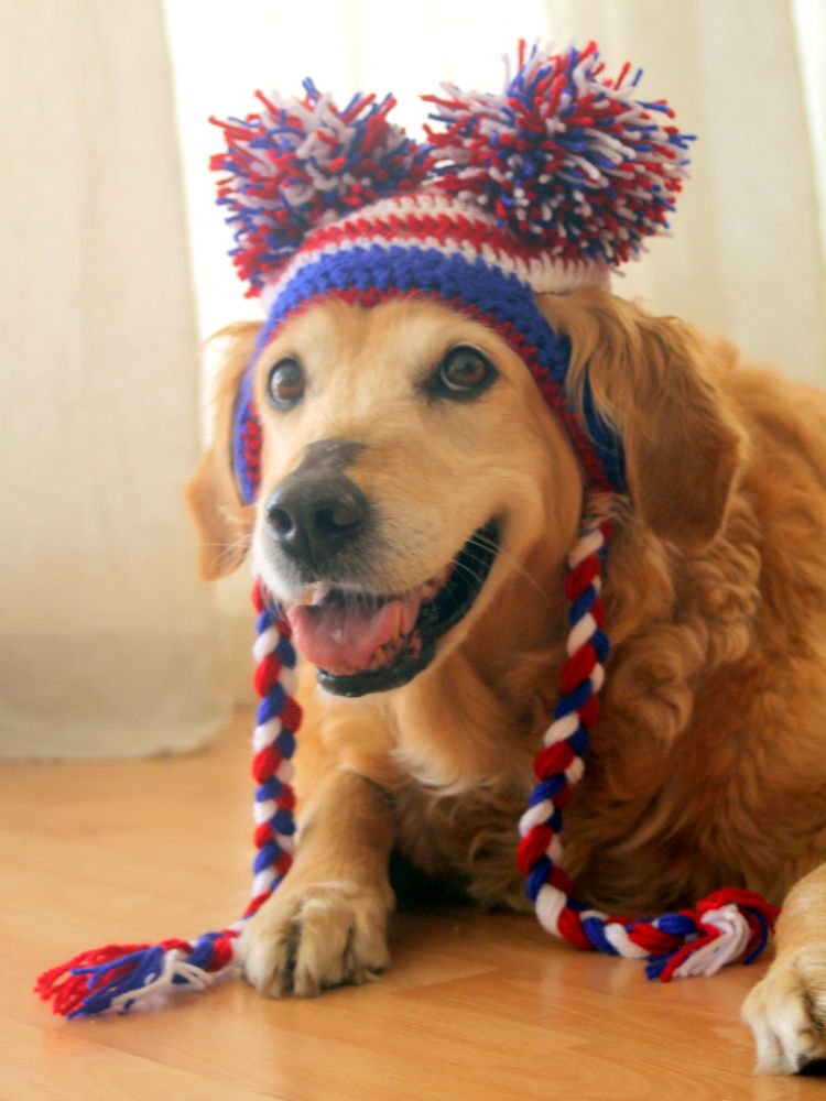 Thumbnail: 4th of July Pom Pom Hat for Dogs