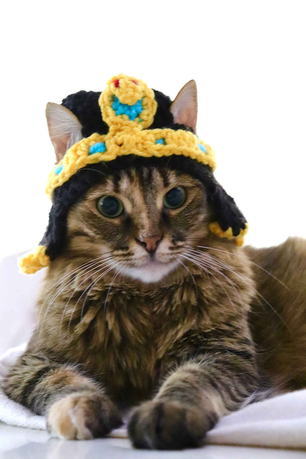 Cleopatra Cat HAt