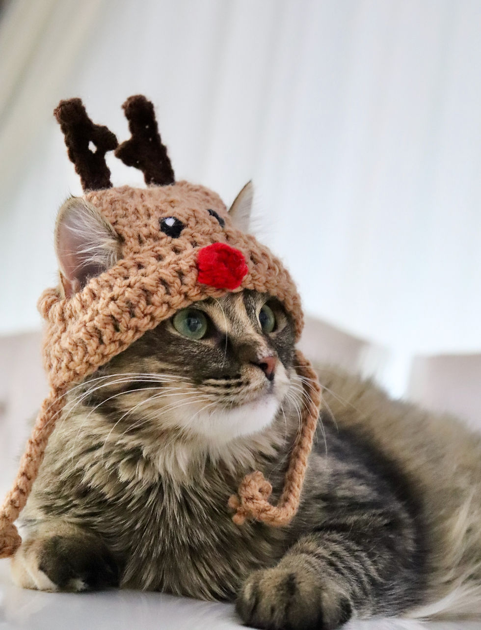 Thumbnail: Reindeer Hat for Cats