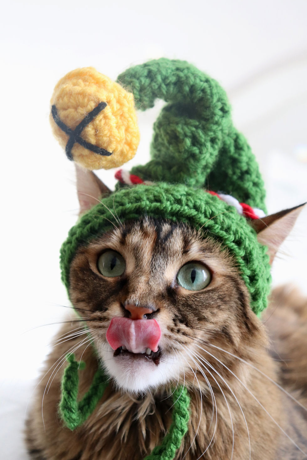 Elf Cat Hat