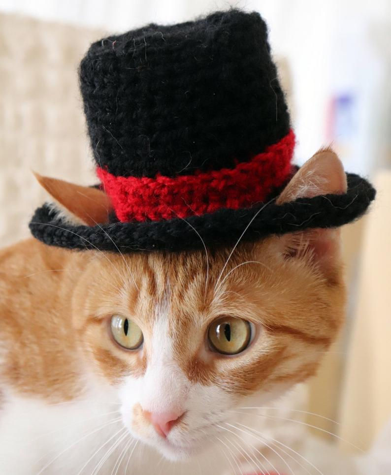 Thumbnail: Top Hat for Cats