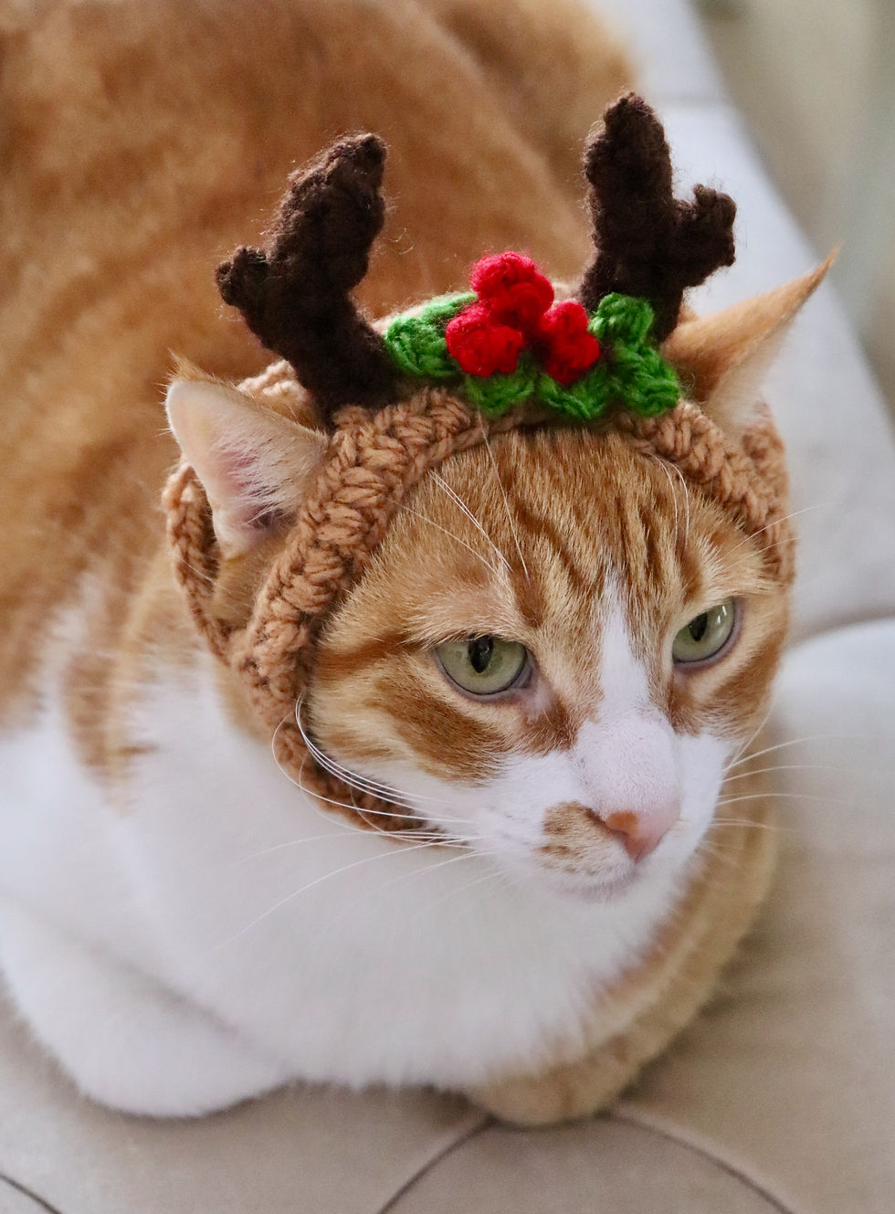 Thumbnail: Reindeer Holly Headband for Cats