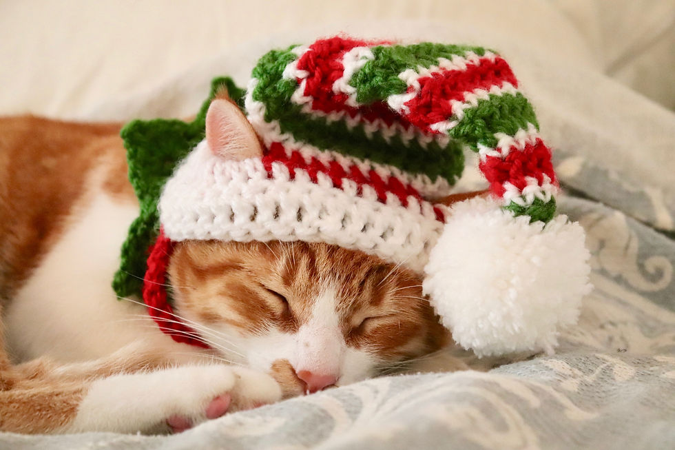 Thumbnail: Cat Elf Hat Crochet Pattern