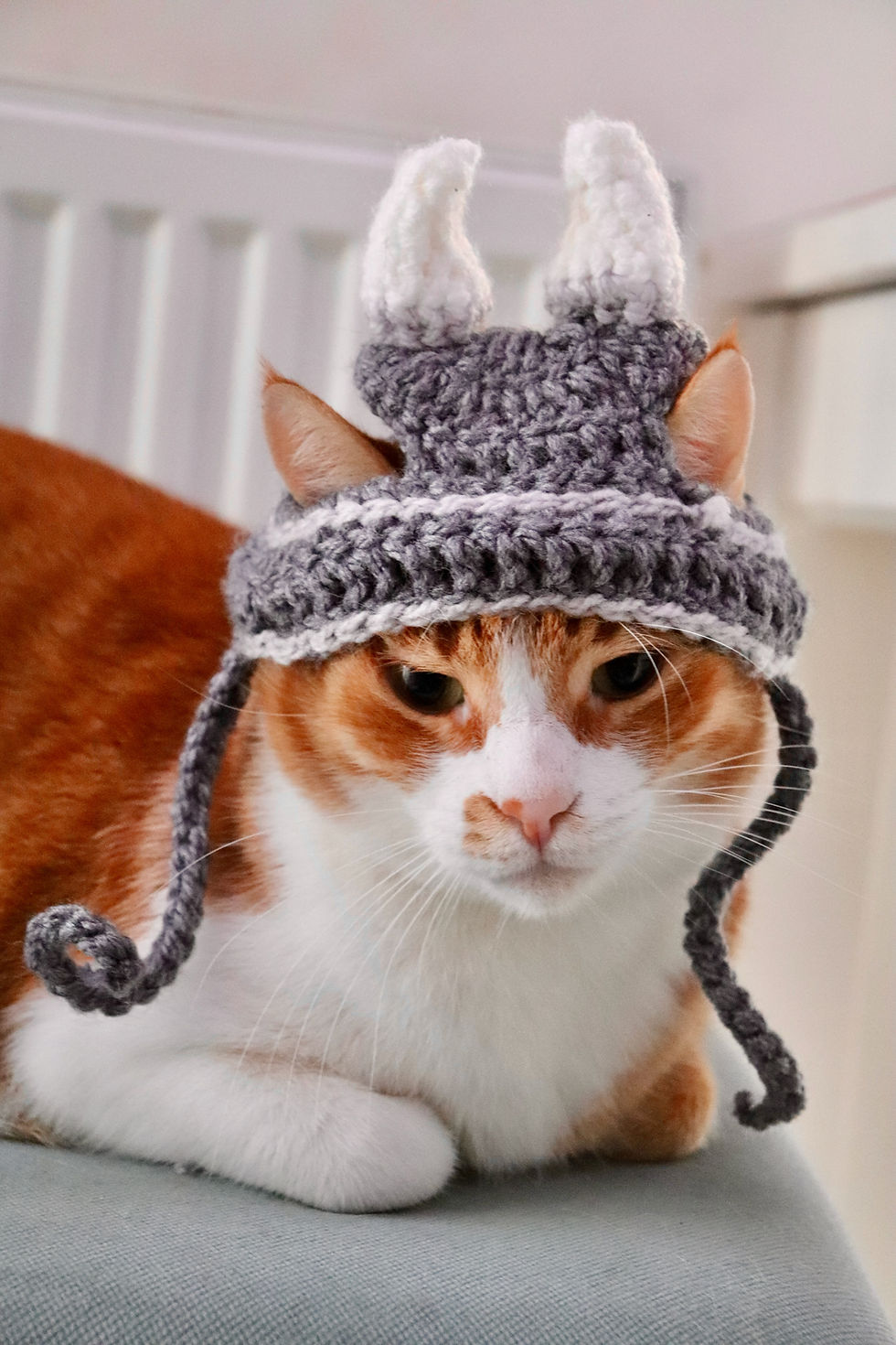 Viking Cat Hat
