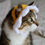 Thumbnail: Crochet Pattern: Cat Flower Headband