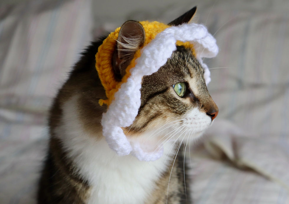 Thumbnail: Crochet Pattern: Cat Flower Headband