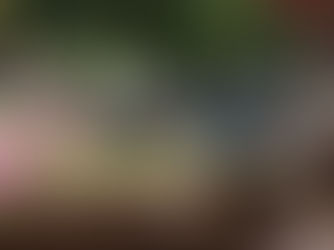 Returning to Campbell Bay