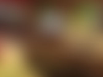 first festival of the season: campbell bay