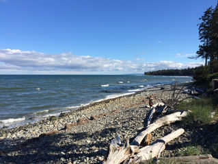 Hide a Guy to Haida Gwaii