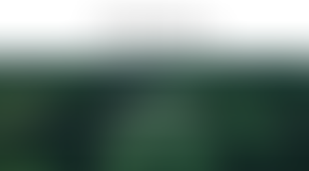 Feature on EcoHub.com