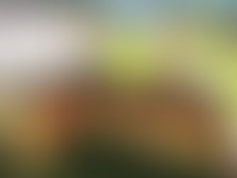 Surviving an Outdoor Winter Market