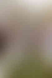 bride and groom heading to their wedding reception