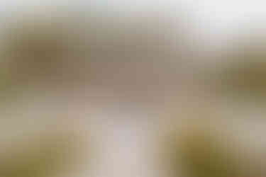 dream wedding reception in las vegas