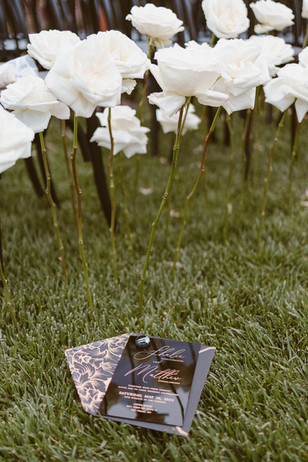 stunning picture of the wedding rings