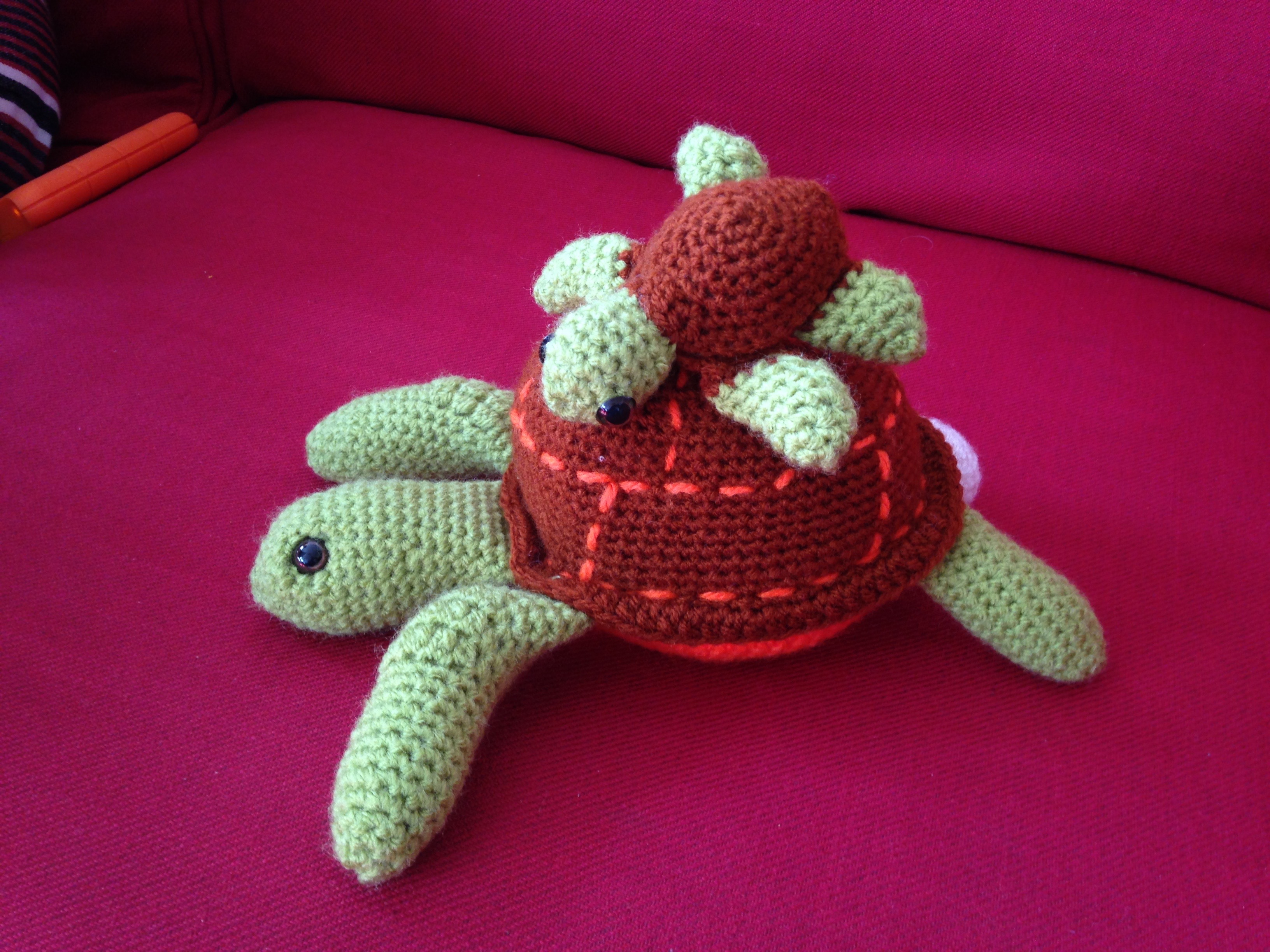 Anita et Juanita, les tortues