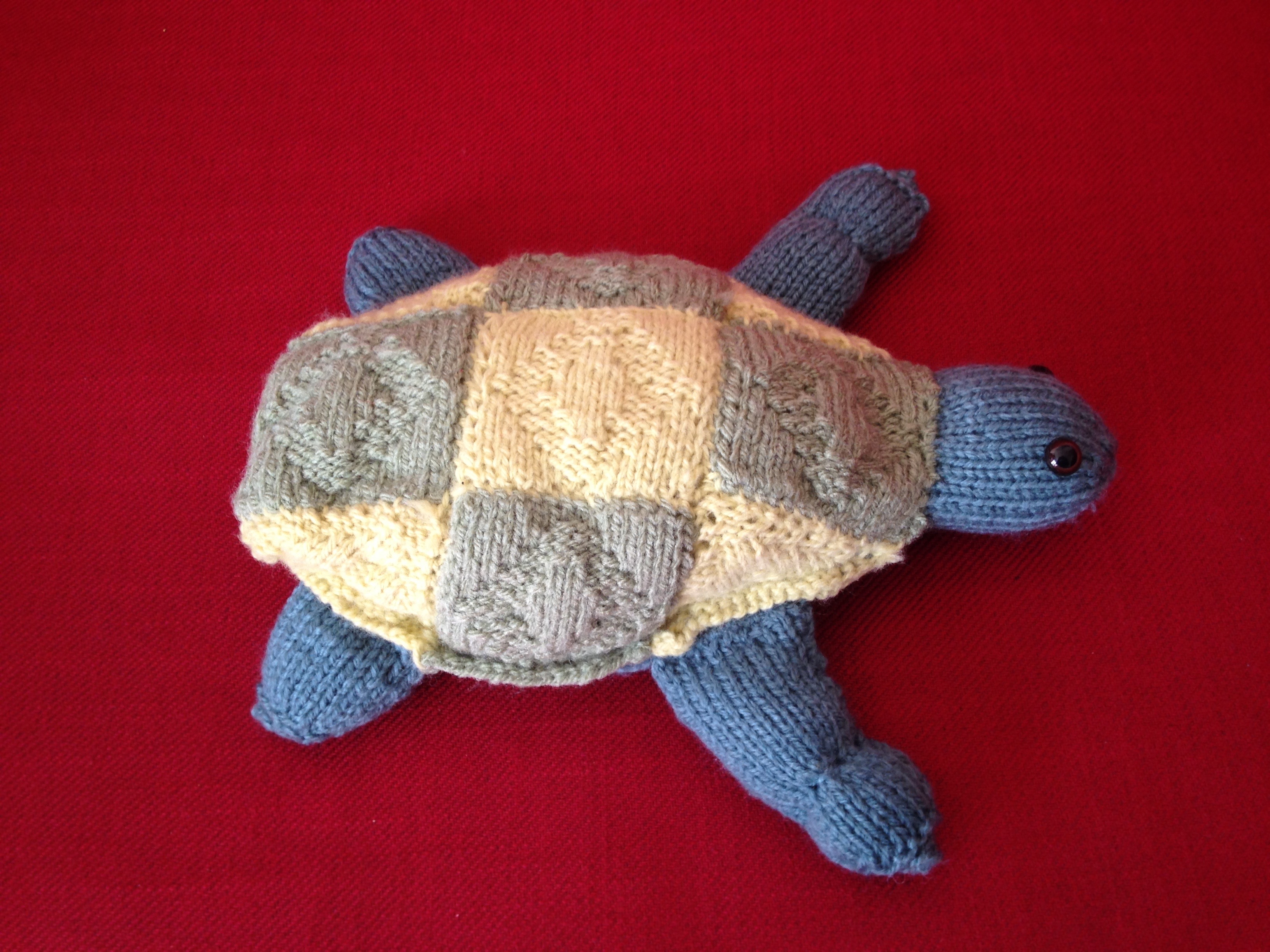 Bertrand, la tortue
