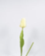 Κλωνάρι με τεχνητό λουλούδι τουλίπα σε 4 χρώματα