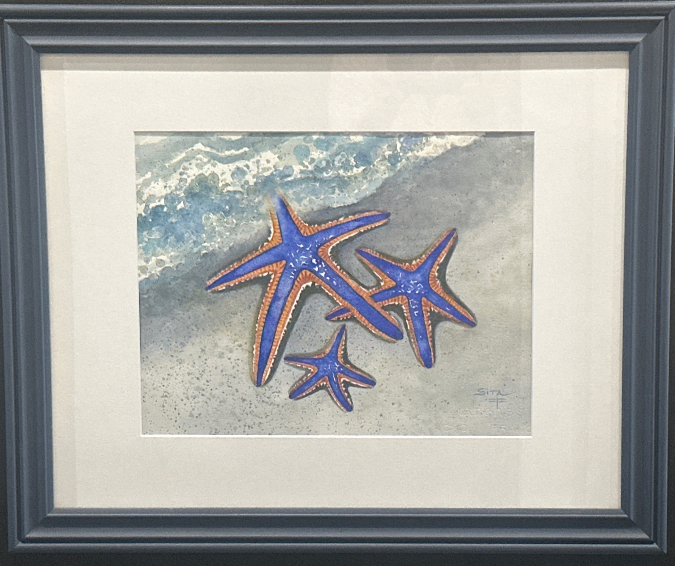 Sita Loop “Royal Starfish” Watercolor