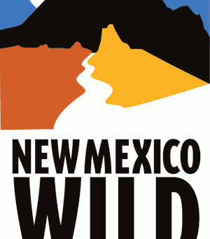 Deb Haaland Receives Endorsement From Key Land Protection Organization, New Mexico Wild Action Fund