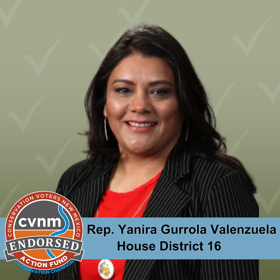 Green Vote 2026 Website - Yanira Gurrola Valenzuela (3)