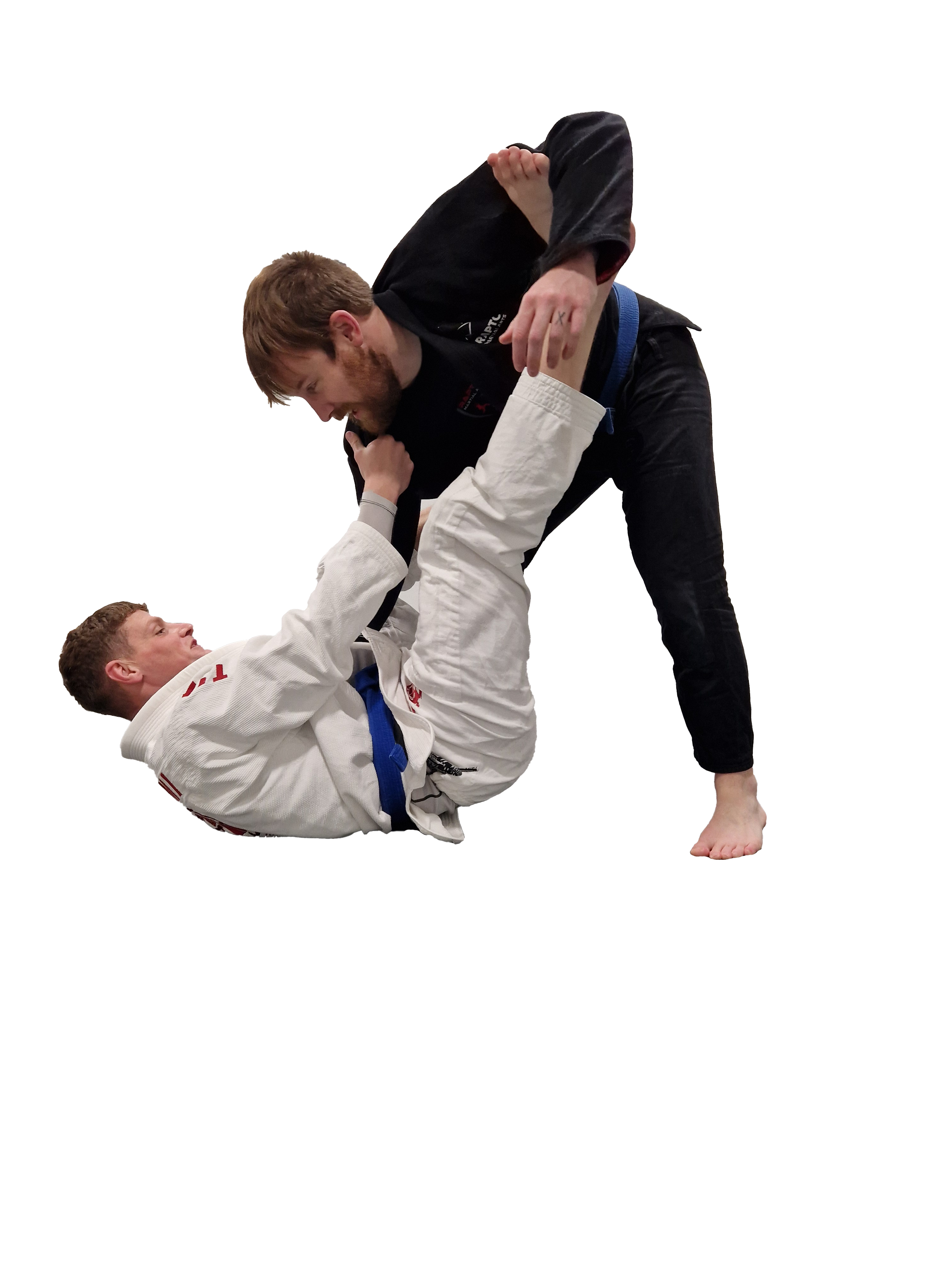 Blue Dog Jiu-Jitsu