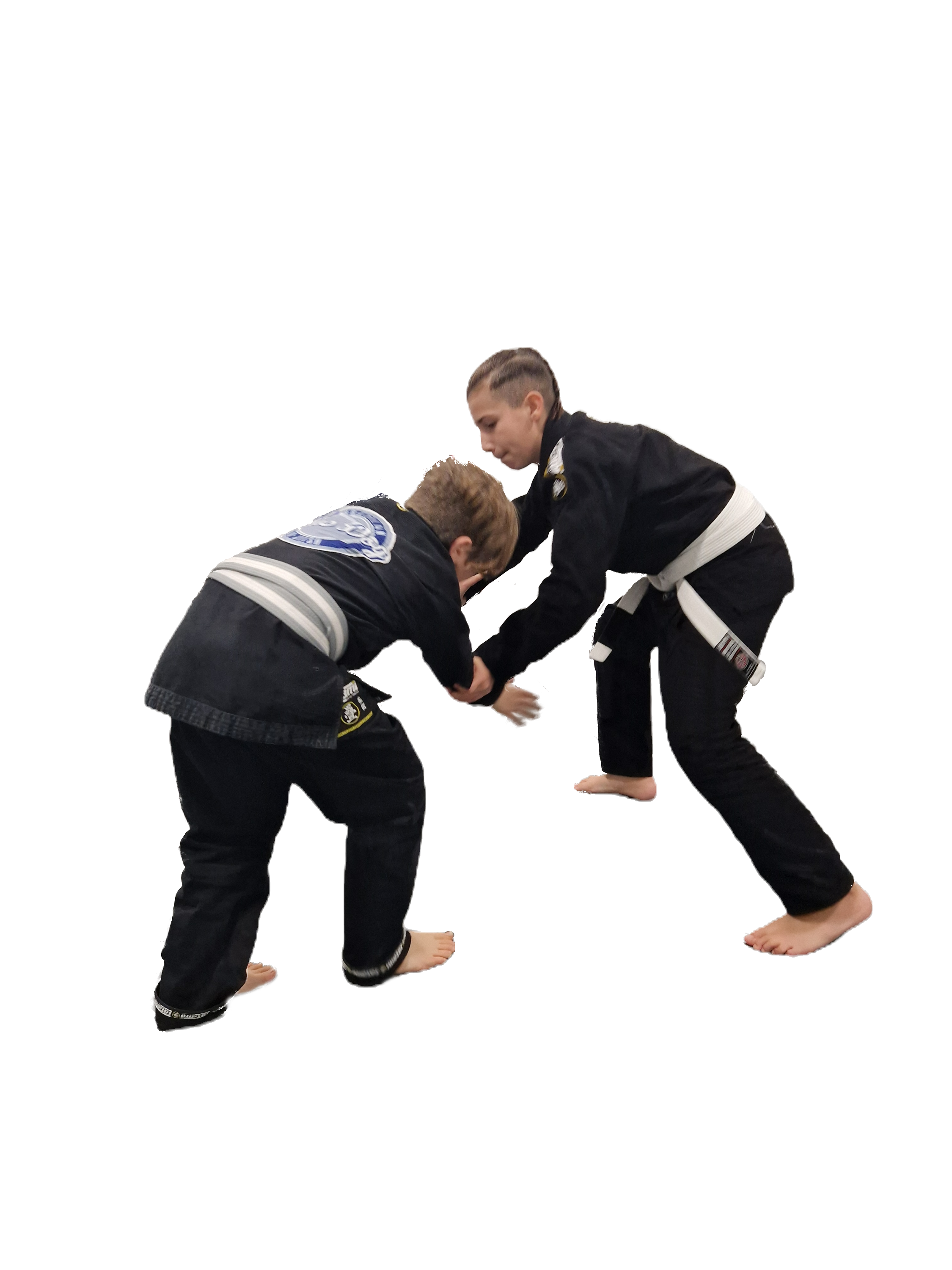 Blue Dog Jiu-Jitsu photo