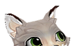 Fuchs_1.png