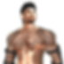 Lelutka_1_Transparent_edited.png