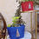 Thumbnail: Red and blue Jute planter set of 2