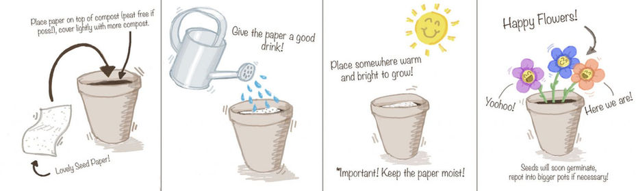 seedpaperinstructions-1536x461.jpeg